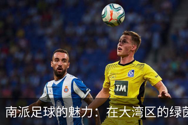 南派足球的魅力：在大湾区的绿茵场上舞动的精、快、灵